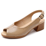 Peep Toe Block Heel Pumps for Women – Stylish & Comfortable