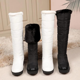 Plush Lace-Up Winter Boots for Women – Cozy & Stylish